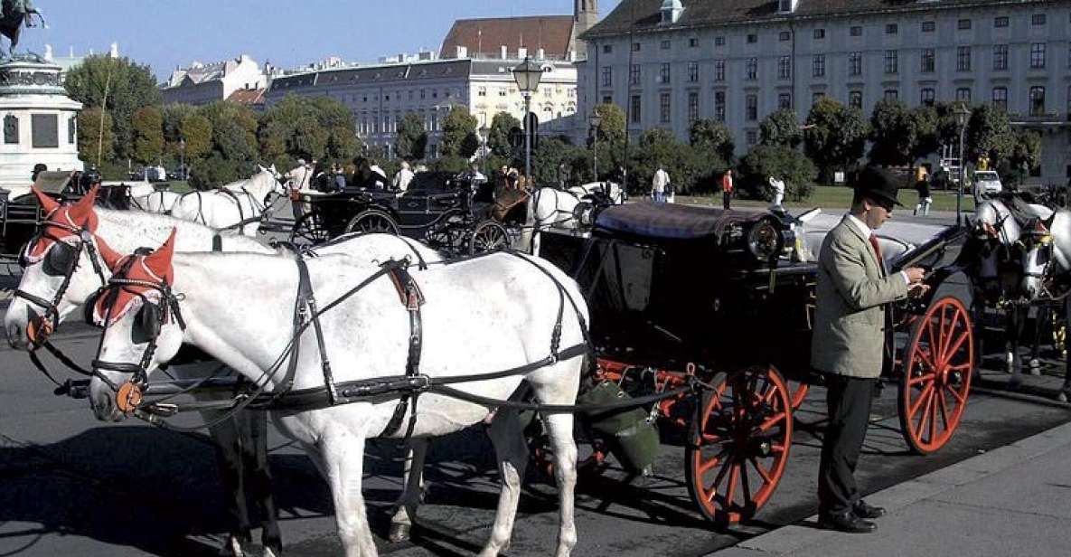 Vienna: Mozart Concert With Dinner and Carriage Ride - Meal and Dining