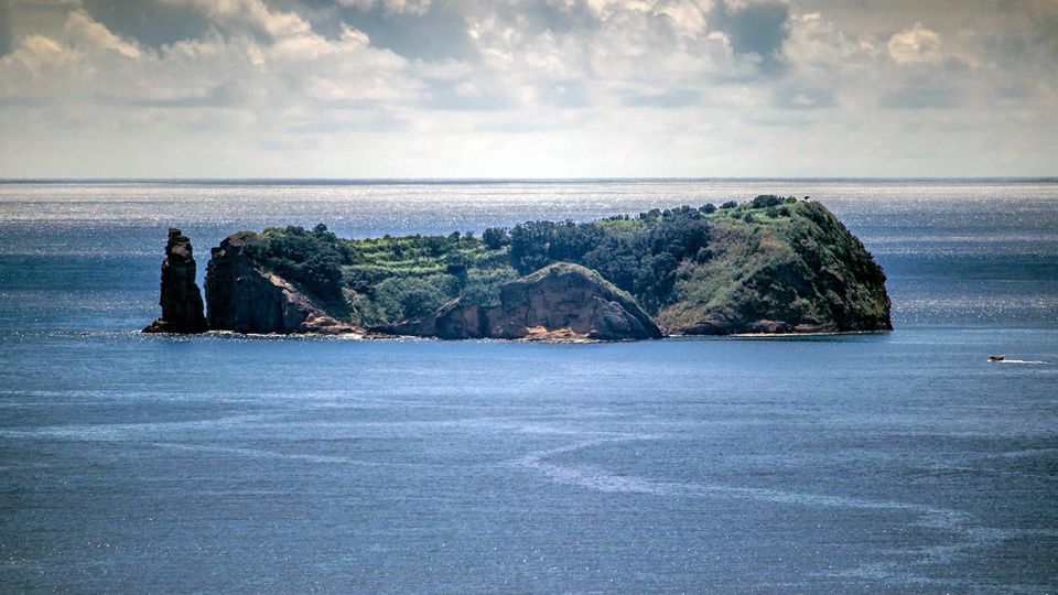 Vila Franca Islet: Off-coast Nature Reserve Tour - Wildlife and Geology