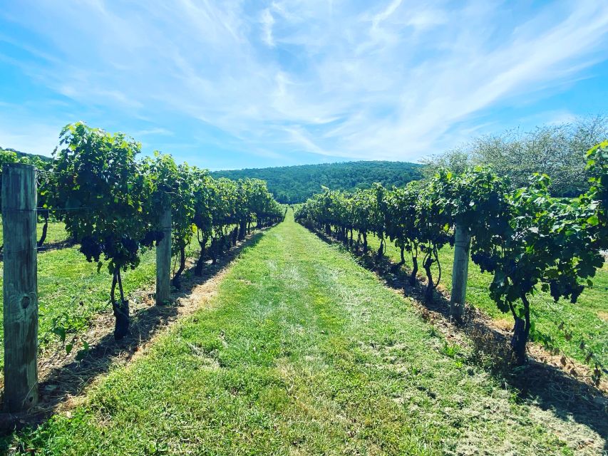 Virginia Wineries Tours: Experience Virginia Wineries - Wineries Included