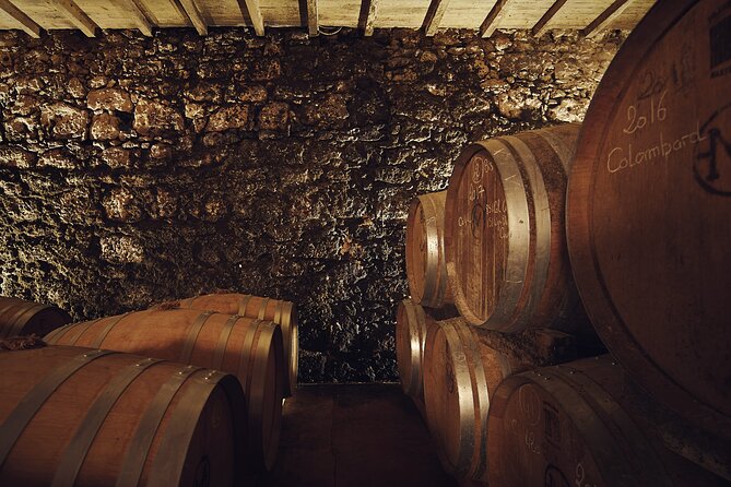 Visit and Wine Tasting: the Musketeers Wine - Armagnac Ageing Cellar Visit