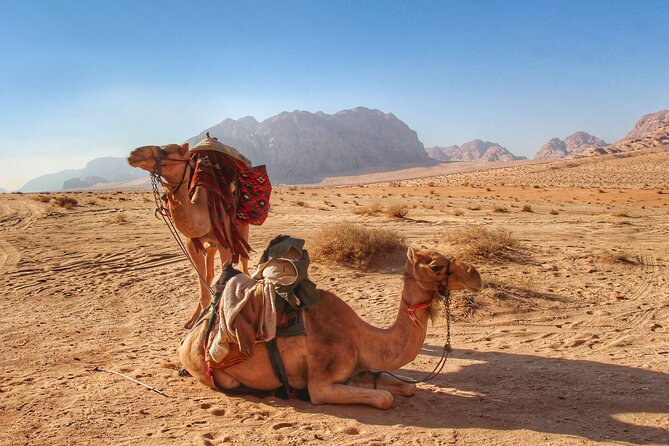 Wadi Rum: Camel Trek Adventure - Booking and Cancellation Policy