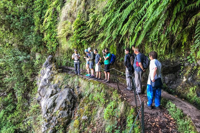 Walk With a Local - Tour Details