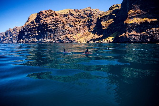 Watching and Listening Whales Visiting Los Gigantes&Masca. Food&Drinks Included - Additional Services Available