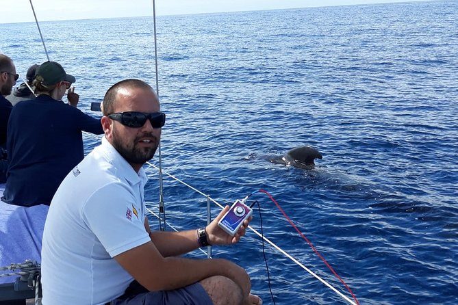 Whale and Dolphin Watching Sailing Boat With Drinks, Snacks and Swimming Time - Freshly Made Lunch and Snacks