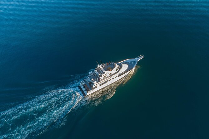 Whale Watching Cruise on a Yacht in Reykjavik - Inclusions in the Tour Package