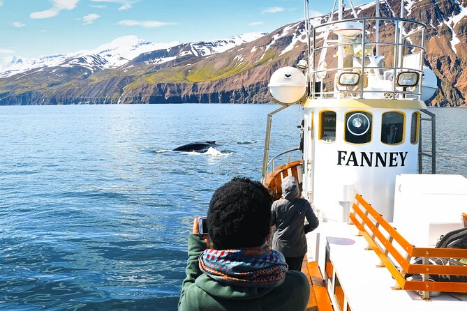 Whale Watching in Husavik - Meeting and Departure Details