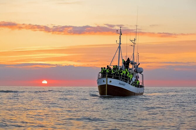 Whales and Puffins Tour From Husavik - Meeting and Pickup Location