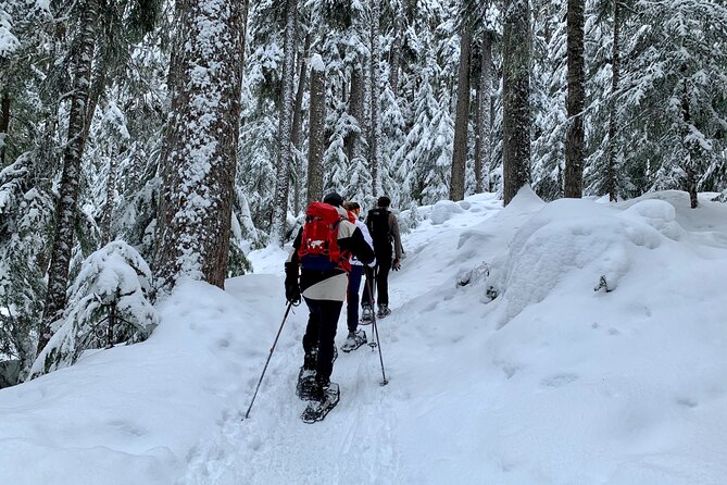 Whistler Lost Lake Snowshoeing and Village Tour - Pickup and Transportation