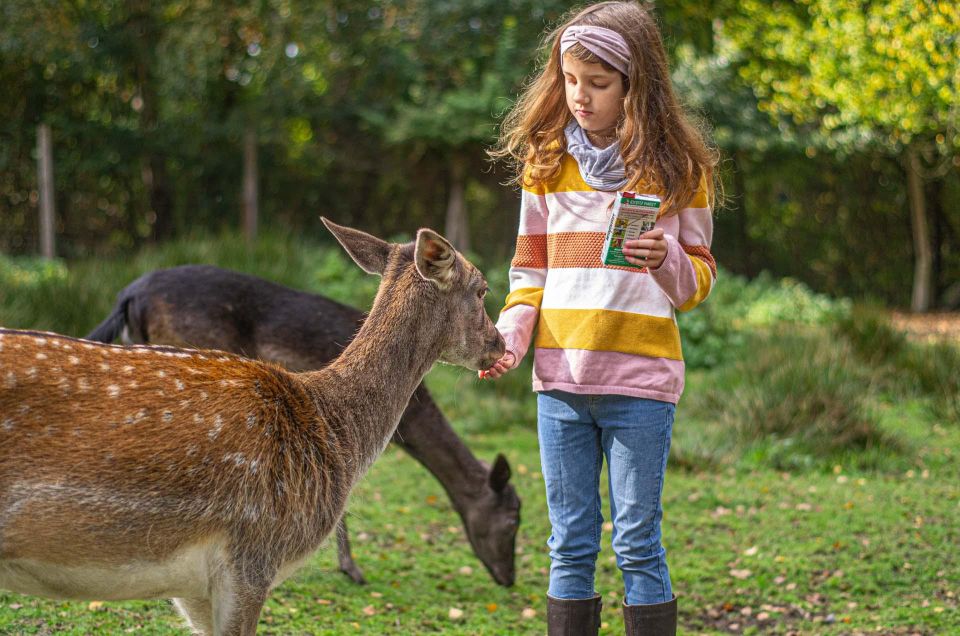 Wildlife Park Entry Ticket - Visitor Experience and Offerings