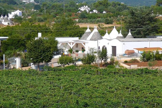 Wine Ostuni, Tour of an Apulian Winery With Traditional Lunch or Aperitivo - Beverage Offerings