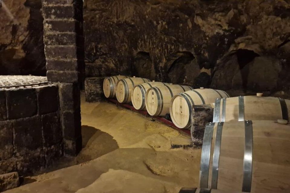 Wine Tasting in Montepulciano and Vineyards Private Tour - Cellar Description