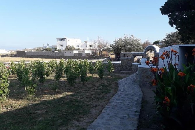 Wine Tasting Tour at a Traditional Farm in Mykonos - Cancellation Policy