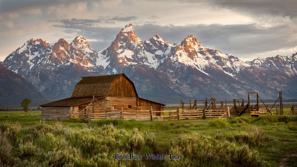 Yellowstone & Grand Tetons: 4-Day/3-Night Wildlife Adventure - Accommodation