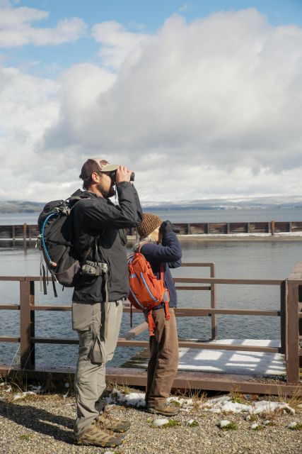 Yellowstone: Winter Wildlife & Snowshoe Adventure - Abundant Yellowstone Wildlife