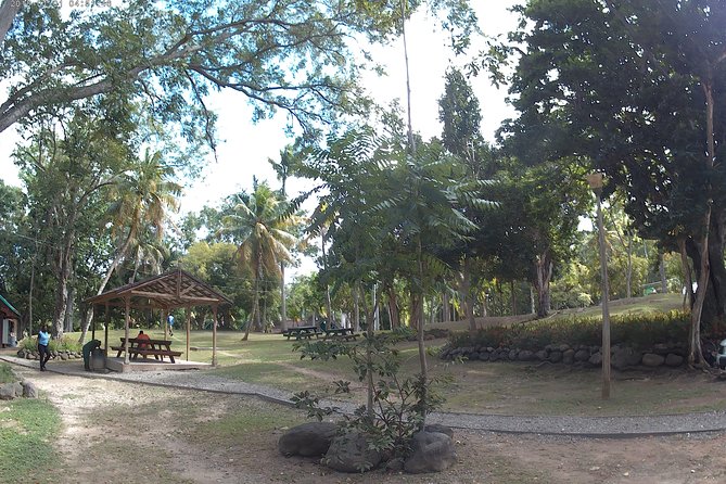 Zip Line Over the Dunns River Falls - Special Access and Convenience