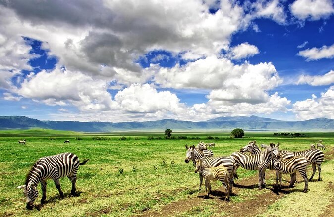 4 Days Tanzania Private Safari | Serengeti , Ngorongoro & Tarangire Safari - Key Points