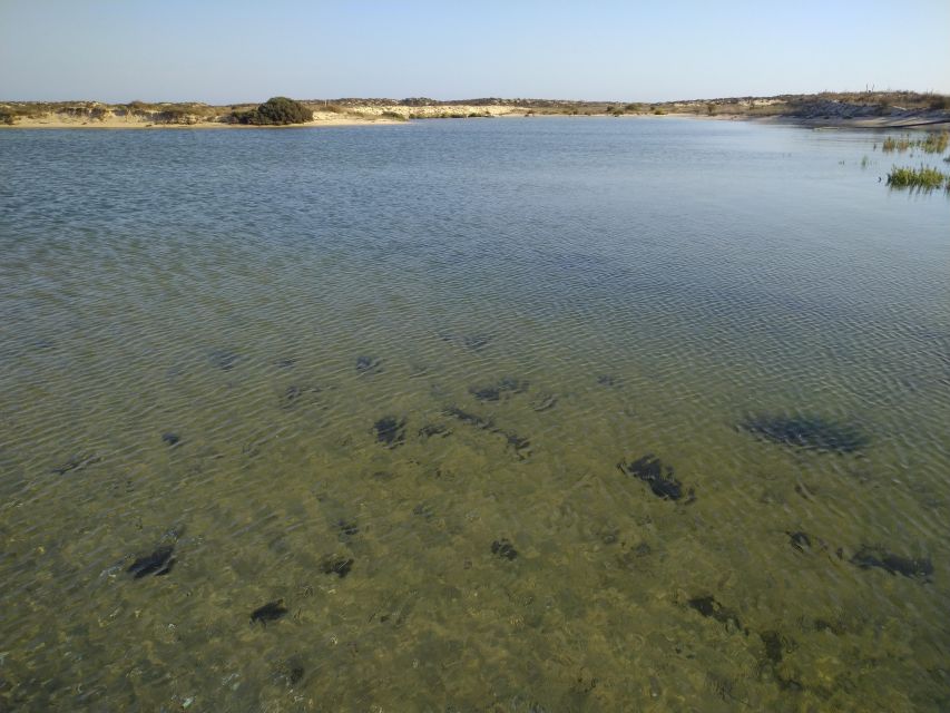 4 Hour Classic Boat Cruise, Ria Formosa Natural Park, Olhão. - Key Points