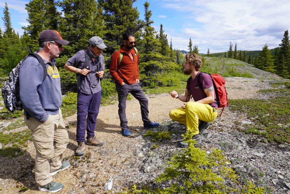 4 Hour Off-Trail Wilderness Wonders Tour in Denali - Key Points