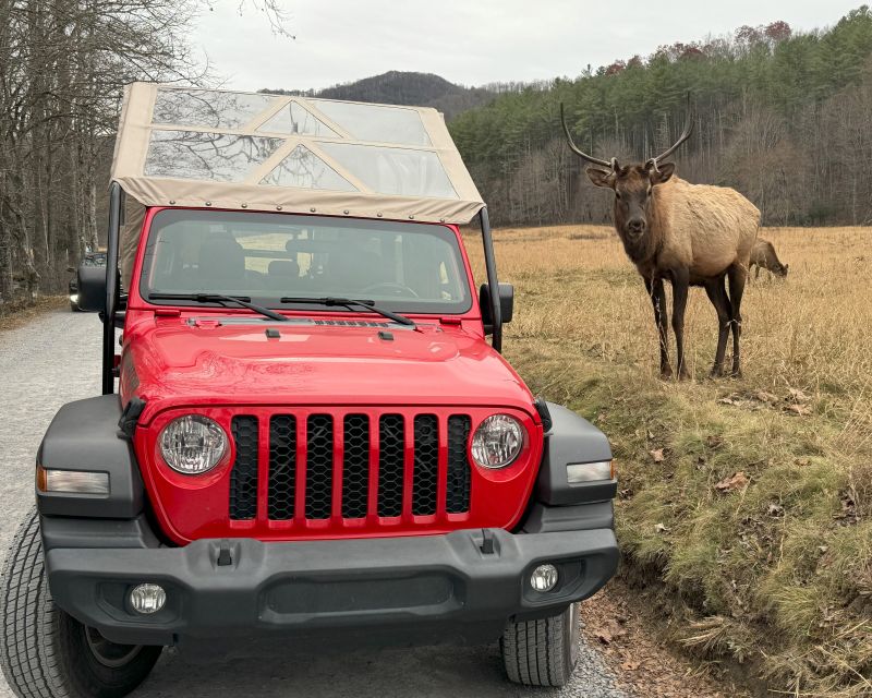 4 HR. Guided Safari Jeep Eco, ELK Wilderness Adventure - Key Points