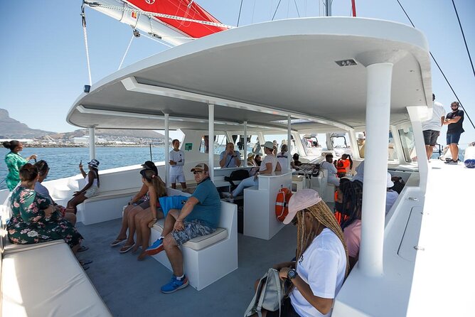 1- Hour Catamaran Cruise Cape Town - Cruise Experience