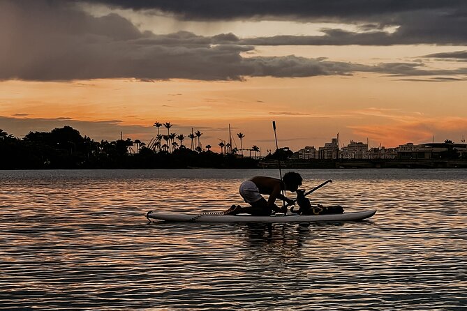 1-Hour Condado Lagoon Paddleboard Rental in San Juan - Meeting Point and Location