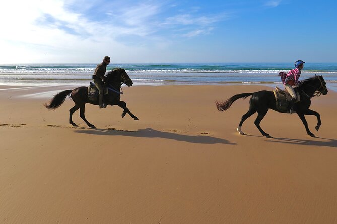 1 Hour Horse Ride on the Beach of Essaouira - Riding Through Diabat