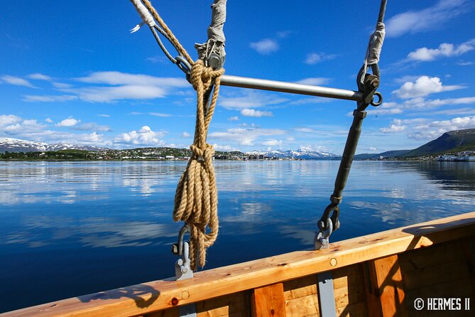 1 Hour Photo & History Cruise - Explore Tromsøs Maritime History