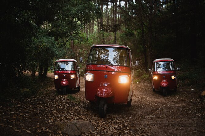 1 Hour Private Tuk-Tuk Tour in Sintra - Inclusions and Accessibility