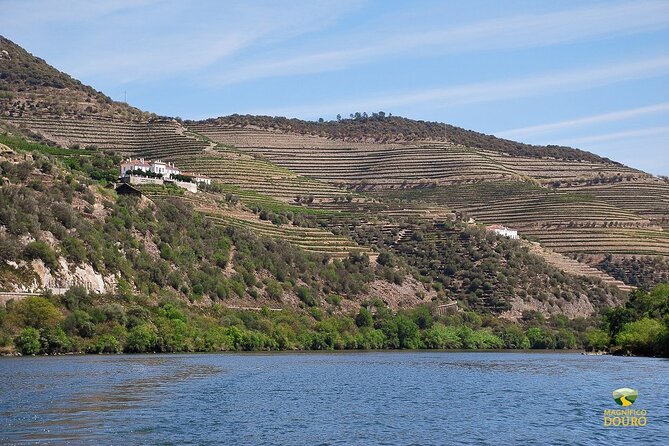 1-Hour Rabelo Boat Trip in Pinhão - Negative Reviews