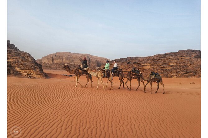 2-Day Jordan Guided Tour Petra, Wadi Rum and Dead Sea - Group Size and Accessibility