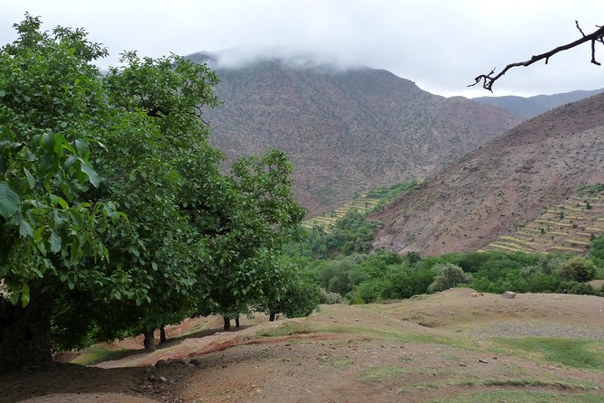 2 Days Atlas Mountains Trek - Tour Details