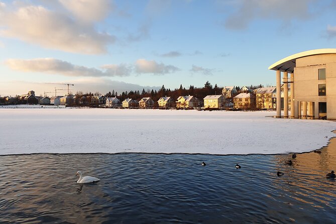 2-Hour Reykjavik Private Walking Tour - Tour Starting Location