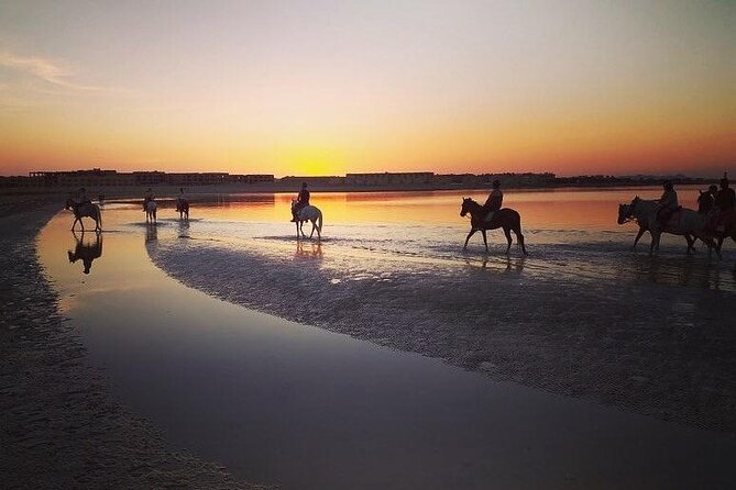 2 Hours Horse Riding on the Sea and Desert- Hurghada - Fitness Requirements