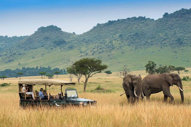 3 Days Maasai Mara Luxury Safari - Included Meals and Refreshments