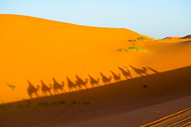 3-Days Private Tour From Marrakech to Fez Through Merzouga Desert - Exploring Historical Sites