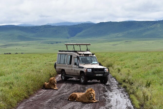 3 Days Safari Ngorongoro Crater and Serengeti National Park - Booking and Cancellation