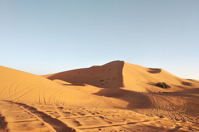 3 Days Sahara Tour From Marrakesh - Camel Safari Experience