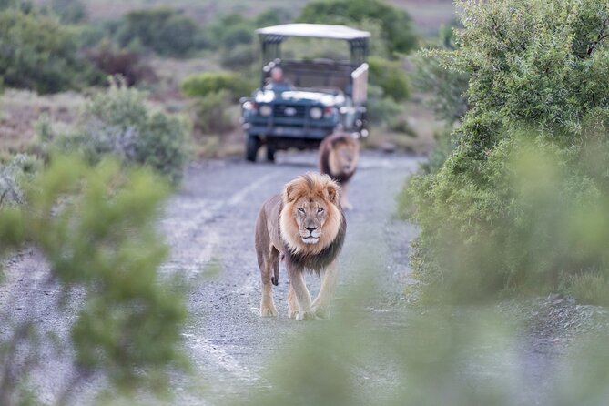 3 Days Tarangire, Manyara & Ngorongoro Budget Lodge Safari Tour Tanzania - Logistics