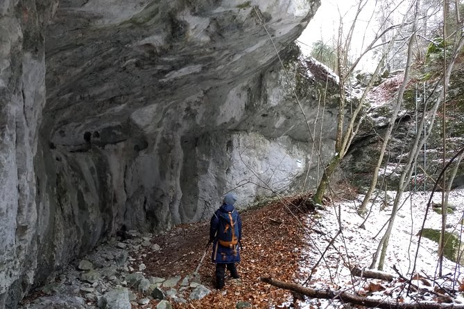 4-Hour Private Alpine Great George at High Wall Mountain From Vienna - Guided Experience and Weather