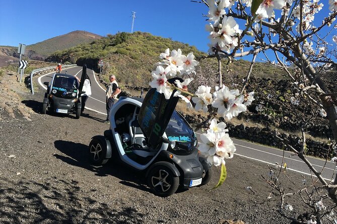 4 Hours Eco Safari Tour With Electric Car in Tenerife - Exploring Tenerifes Landscapes