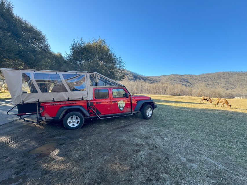 4 HR. Guided Safari Jeep Eco, ELK Wilderness Adventure - Inclusions in the Tour