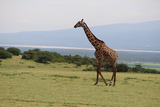 5-Day Highlights Mid-Range Crater, Serengeti, Tarangire - Included Amenities