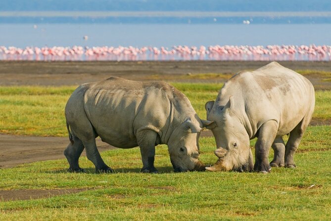 5-Day Masai Mara Lake Nakuru and Naivasha Small-group Safari Tour - Tour Details