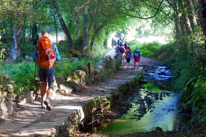 7-Day Tour of the French Way of Santiago From Sarria - Key Points