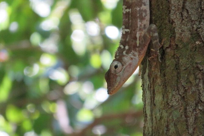 7 Hour- Private Nature Tour of the Monte Plata Rainforest - Tour Logistics