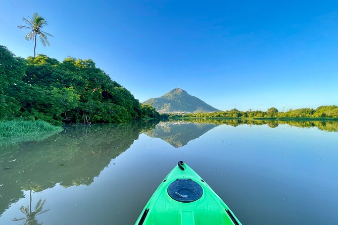 Afternoon Guided Kayak Tour on the Tamarin River - Accessibility and Restrictions