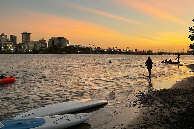 Afternoon Kayak and Paddleboard Tours in Condado Lagoon - Traveler Reviews