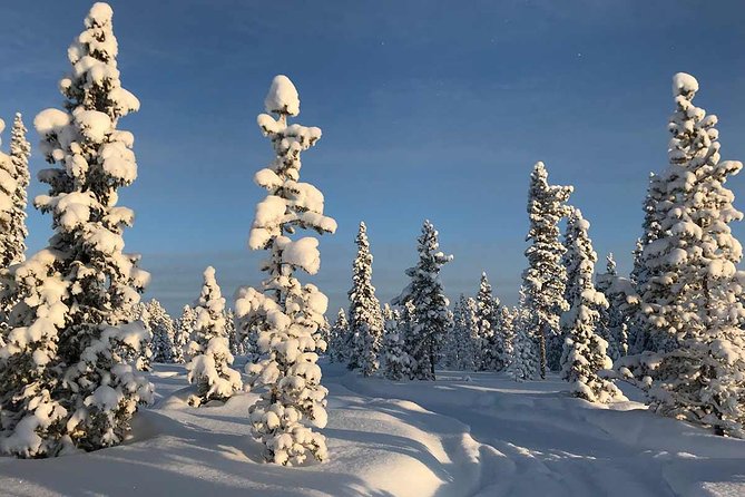 Afternoon Snowmobile Tour - Tour Highlights