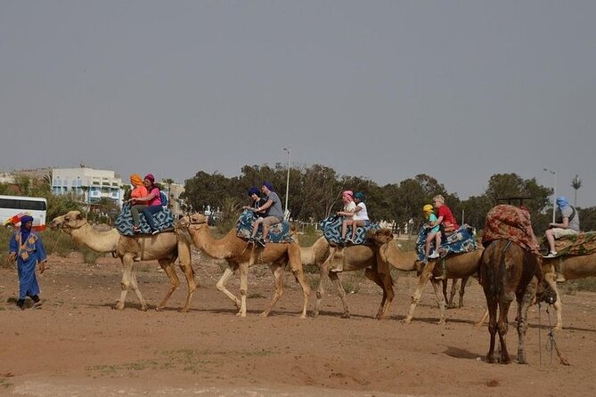 Agadir Camel Ride Experience - Inclusions and Amenities