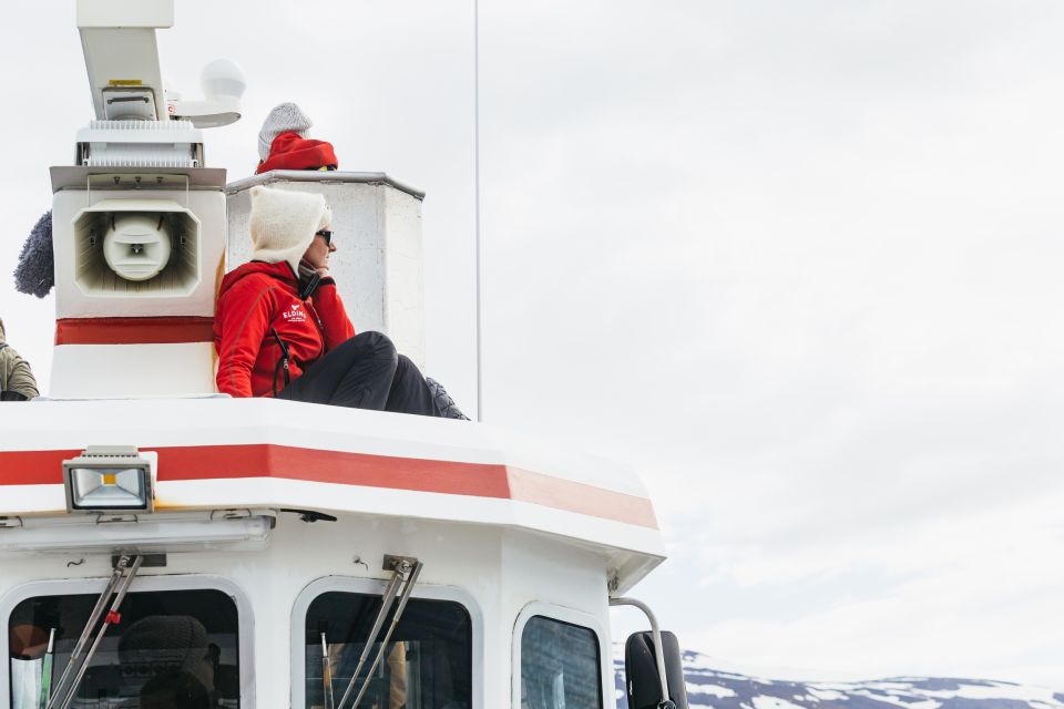 Akureyri: 3-Hour Classic Whale Watching Tour - Inclusions